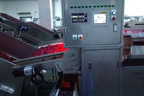 全面革新，智造美味 探秘嘉華食品花工廠技術(shù)升級(jí)之道